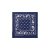 Bandana Flying B Paisley