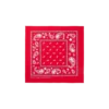 Bandana Flying B Paisley
