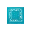 Bandana Flying B Paisley
