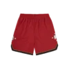 Pantaloni scurți de baschet din plasă cu stele Astro Pantaloni scurți de baschet din plasă cu stele Astro