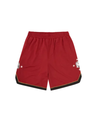 Pantaloni scurți de baschet din plasă cu stele Astro