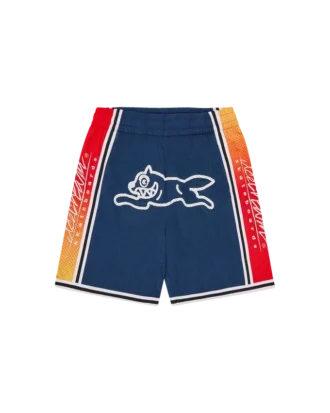 Pantaloni scurți de baschet Running Dog