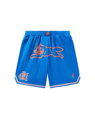 Pantaloni scurți de baschet Team IC cu Running Dog alergând Pantaloni scurți de baschet Team IC cu Running Dog alergând