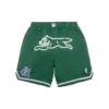 Pantaloni scurți de baschet Team IC cu Running Dog alergând Pantaloni scurți de baschet Team IC cu Running Dog alergând