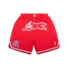 Pantaloni scurți de baschet Team IC cu Running Dog alergând Pantaloni scurți de baschet Team IC cu Running Dog alergând
