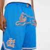 Pantaloni scurți de baschet Team IC cu Running Dog alergând Pantaloni scurți de baschet Team IC cu Running Dog alergând