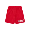 Pantaloni scurți de fotbal Astro Mesh pentru copii