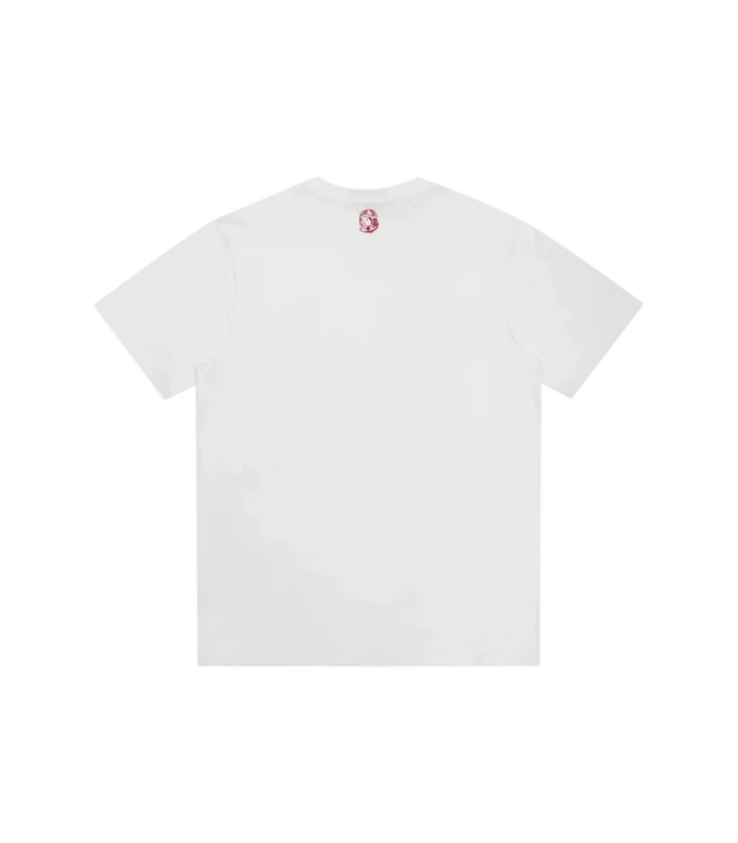Tricou Curve in Curve Tricou Curve in Curve